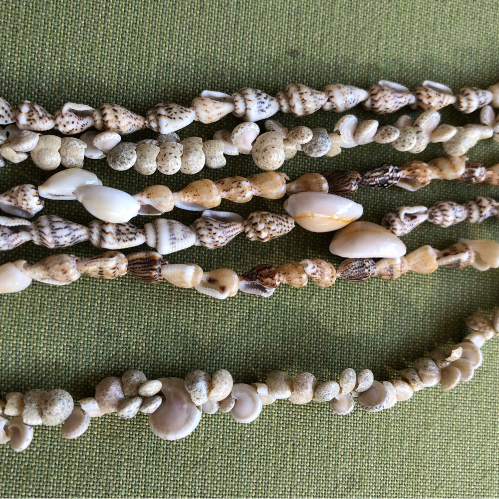 Shell necklaces two - Picture 3 of 8